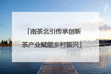 南茶北引传承创新 茶产业赋能乡村振兴