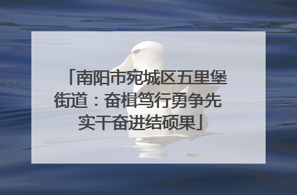 南阳市宛城区五里堡街道：奋楫笃行勇争先 实干奋进结硕果