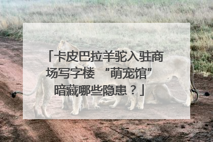 卡皮巴拉羊驼入驻商场写字楼 “萌宠馆”暗藏哪些隐患？
