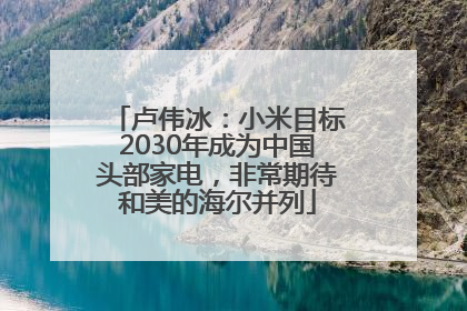 卢伟冰：小米目标2030年成为中国头部家电，非常期待和美的海尔并列