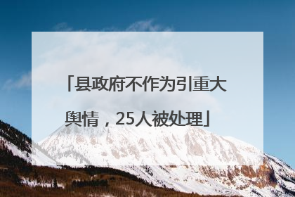 县政府不作为引重大舆情，25人被处理