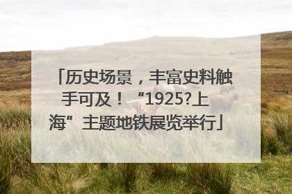 历史场景，丰富史料触手可及！“1925?上海”主题地铁展览举行