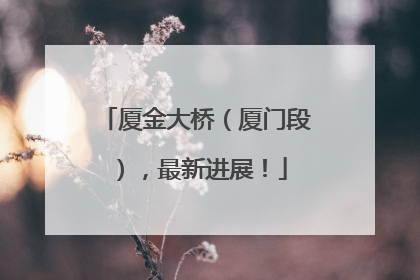 厦金大桥（厦门段），最新进展！