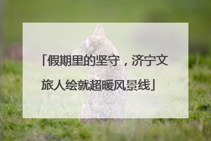 假期里的坚守，济宁文旅人绘就超暖风景线
