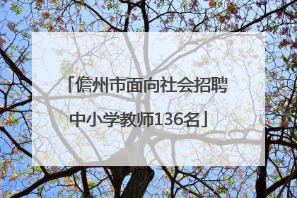 儋州市面向社会招聘中小学教师136名
