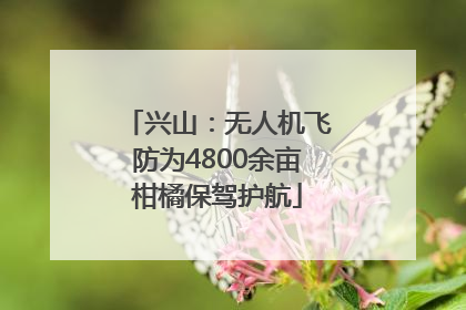兴山：无人机飞防为4800余亩柑橘保驾护航