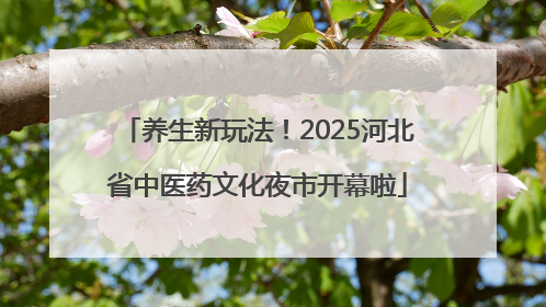 养生新玩法！2025河北省中医药文化夜市开幕啦