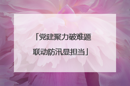 党建聚力破难题 联动防汛显担当