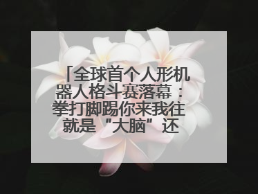 全球首个人形机器人格斗赛落幕：拳打脚踢你来我往 就是“大脑”还不好使