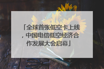 全球首张低空卡上线，中国电信低空经济合作发展大会启幕