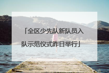 全区少先队新队员入队示范仪式昨日举行