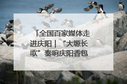 全国百家媒体走进庆阳｜“大塬长歌”奏响庆阳香包民俗文化节序曲