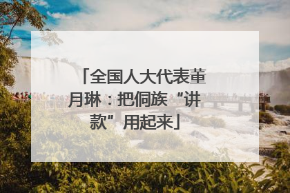 全国人大代表董月琳：把侗族“讲款”用起来