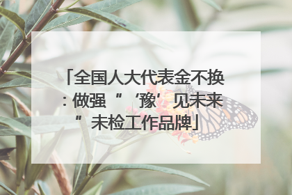 全国人大代表金不换：做强“‘豫’见未来”未检工作品牌