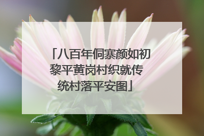 八百年侗寨颜如初 黎平黄岗村织就传统村落平安图