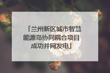 兰州新区城市智慧能源岛协同耦合项目成功并网发电