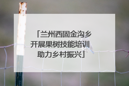 兰州西固金沟乡开展果树技能培训 助力乡村振兴