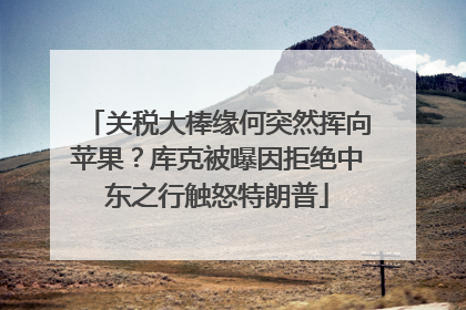 关税大棒缘何突然挥向苹果？库克被曝因拒绝中东之行触怒特朗普