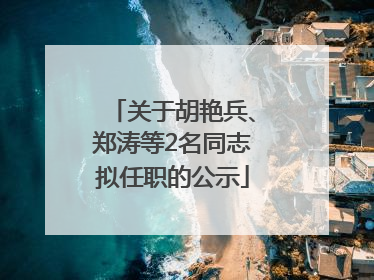 关于胡艳兵、郑涛等2名同志拟任职的公示