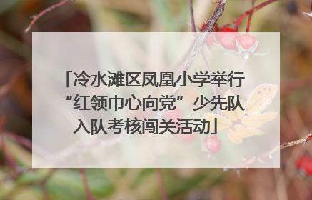 冷水滩区凤凰小学举行“红领巾心向党”少先队入队考核闯关活动
