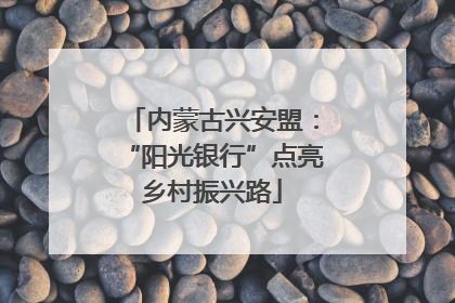 内蒙古兴安盟：“阳光银行”点亮乡村振兴路