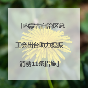 内蒙古自治区总工会出台助力提振消费11条措施