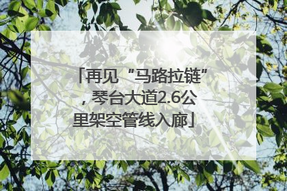 再见“马路拉链”，琴台大道2.6公里架空管线入廊
