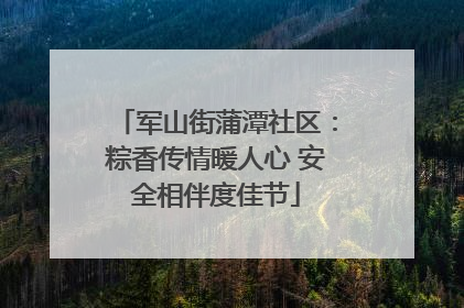 军山街蒲潭社区：粽香传情暖人心 安全相伴度佳节