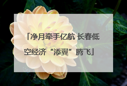 净月牵手亿航 长春低空经济“添翼”腾飞