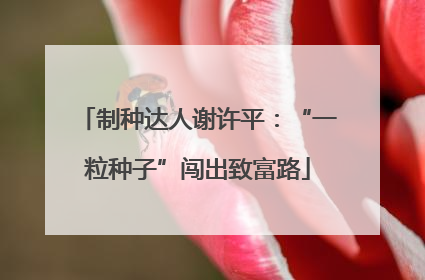 制种达人谢许平：“一粒种子”闯出致富路