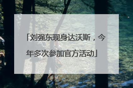 刘强东现身达沃斯，今年多次参加官方活动