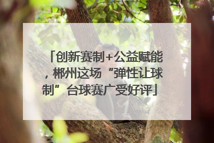 创新赛制+公益赋能，郴州这场“弹性让球制”台球赛广受好评