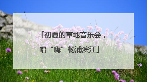 初夏的草地音乐会，唱“嗨”杨浦滨江