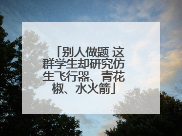别人做题 这群学生却研究仿生飞行器、青花椒、水火箭