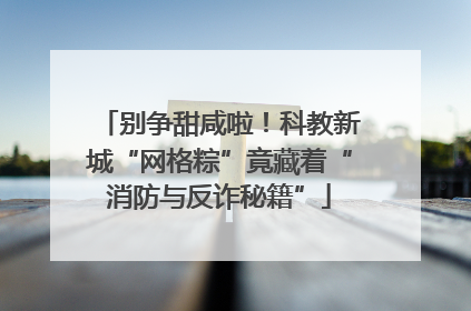别争甜咸啦！科教新城“网格粽”竟藏着“消防与反诈秘籍”