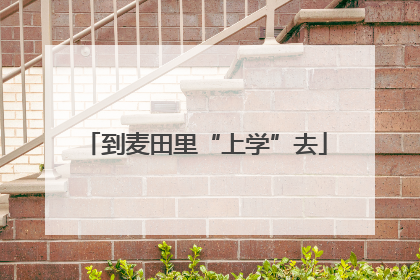 到麦田里“上学”去