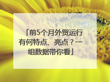 前5个月外贸运行有何特点、亮点？一组数据带你看