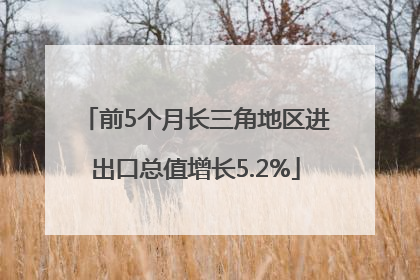 前5个月长三角地区进出口总值增长5.2%