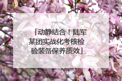 动静结合！陆军某团实战化考核检验装备保养质效