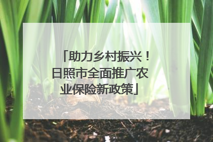 助力乡村振兴！日照市全面推广农业保险新政策