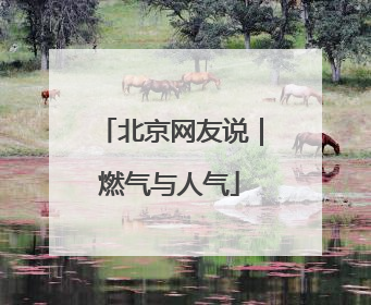 北京网友说｜燃气与人气