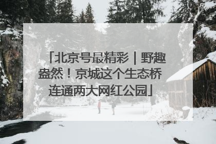 北京号最精彩｜野趣盎然！京城这个生态桥连通两大网红公园