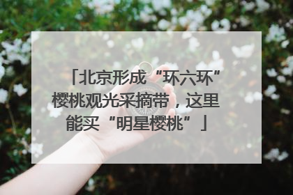北京形成“环六环”樱桃观光采摘带，这里能买“明星樱桃”