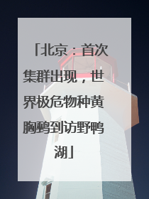 北京：首次集群出现，世界极危物种黄胸鹀到访野鸭湖