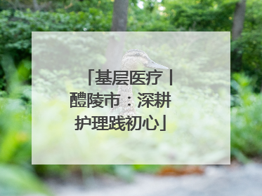 基层医疗丨醴陵市：深耕护理践初心