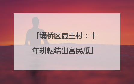 埇桥区夏王村：十年耕耘结出富民瓜