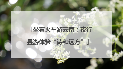 坐着火车游云南：夜行昼游体验“诗和远方”