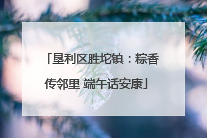 垦利区胜坨镇：粽香传邻里 端午话安康