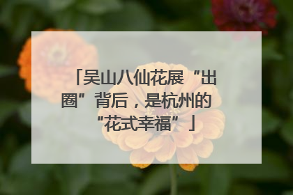 吴山八仙花展“出圈”背后，是杭州的“花式幸福”