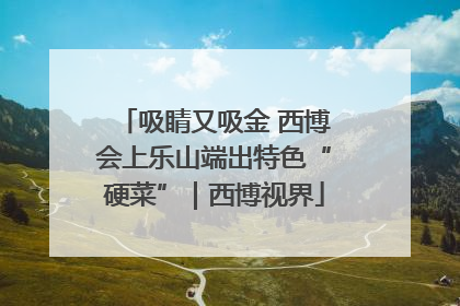 吸睛又吸金 西博会上乐山端出特色“硬菜”｜西博视界